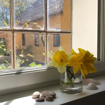 Bed & Breakfast Yggdrasil Guest Gudhjem