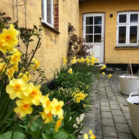 Yggdrasil Guest Bed & Breakfast