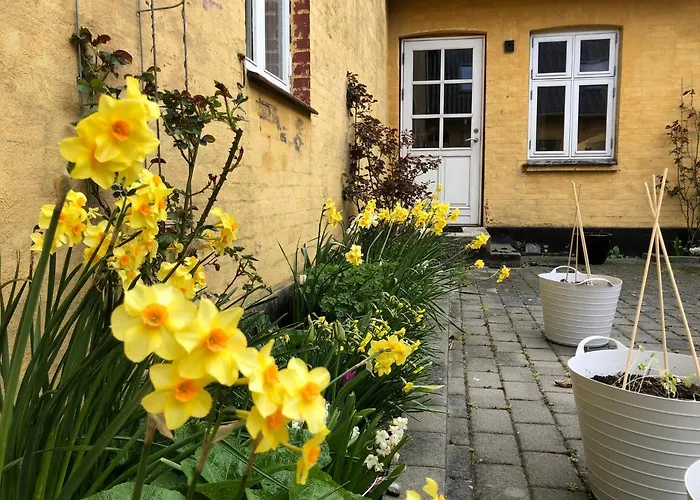 Yggdrasil Guest Bed & Breakfast